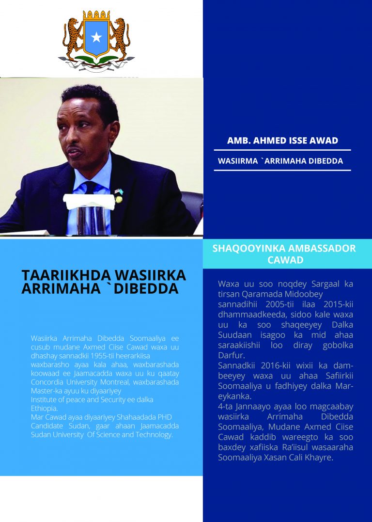 Profiling-ka wasiirrada cusub