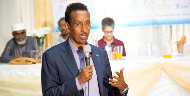 Somali Government Gratifies Arab League Statement On Berbera Port Deal