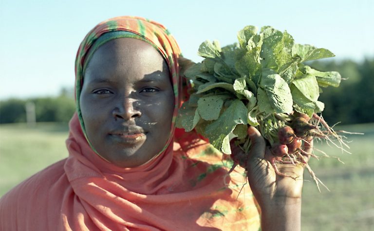 Agriculture Remains Key to Somalia’s Economic Growth and Poverty Reduction