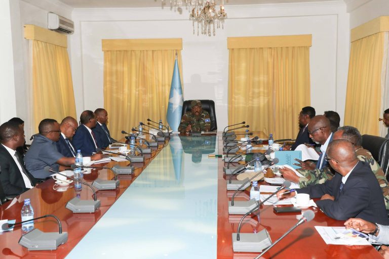 Madaxweynaha oo faray laamaha ammaanka in ay dib u habayn ku sameeyaan istaraatiijiyadda sugidda amniga caasimadda