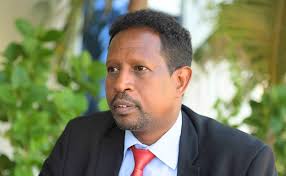 Guddoomiye Yariisow oo sheegay in labaahiyo awoodda maamulka degmooyinka