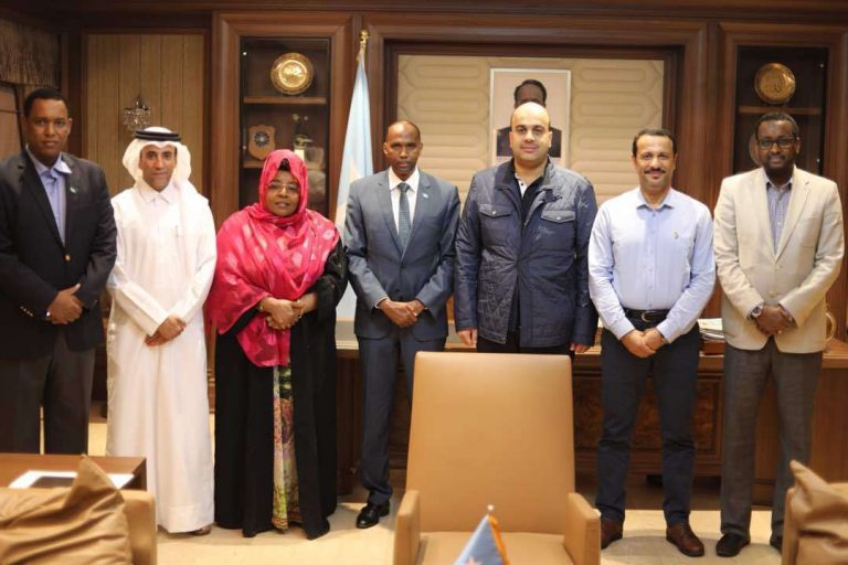 Wadfi ka socda Dawladda Qatar Oo Qiimayn Ku Sameynaya Dekadaha Soomaaliya Ayaa la Kulmay Ra’iisul Wasaare Khayre