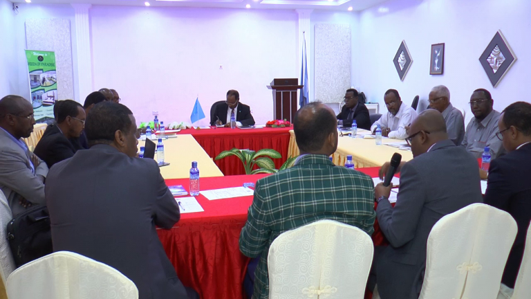 Xukuumadda Soomaaliya oo daah-furtay habka Mideynta Canshuurta