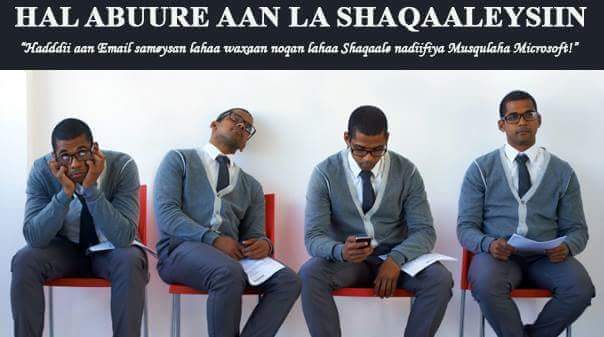 Hal-abuure aan la shaqaaleysiin