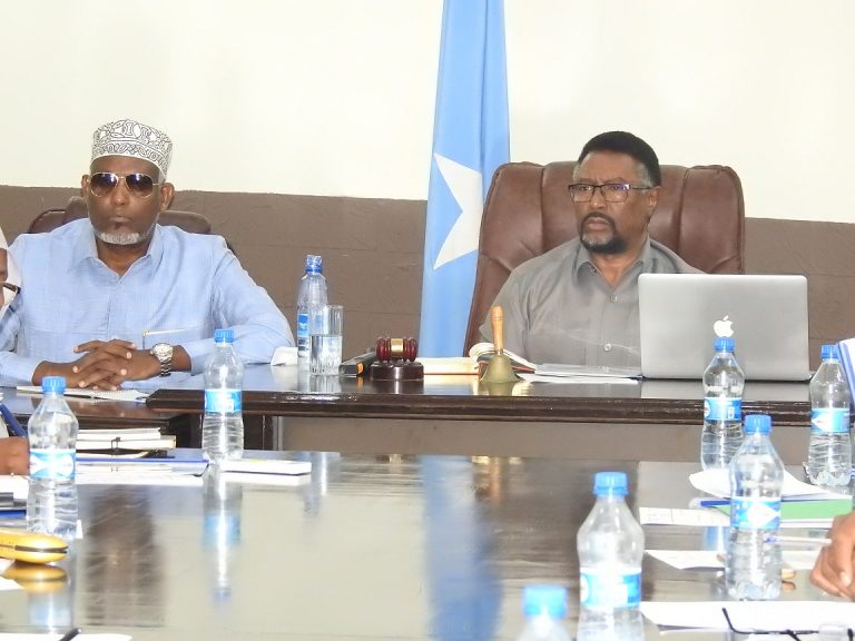 Guddoomiyaha Golaha Shacabka JFS oo shir guddoomiyey kulanka Guddiga Joogtada ah ee Baarlamaanka