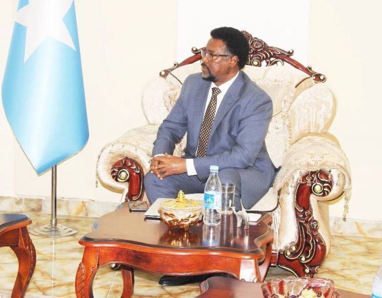 Guddoomiyaha Golaha Shacabka Iyo Safiirka Sweden U Fadhiya Soomaaliya oo kulmay