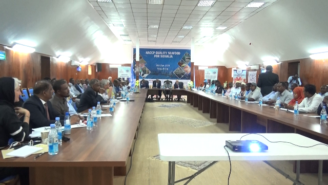 Shir looga hadlayay tayo dhowrka kalluunka Soomaaliya laga dhoofiyo oo Muqdisho ka dhacay