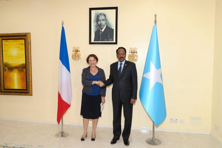 Madaxweynaha JFS oo warqadaha aqoonsiga ka guddoomay Danjireyaasha cusub ee dalalka Faransiiska iyo Jarmalka