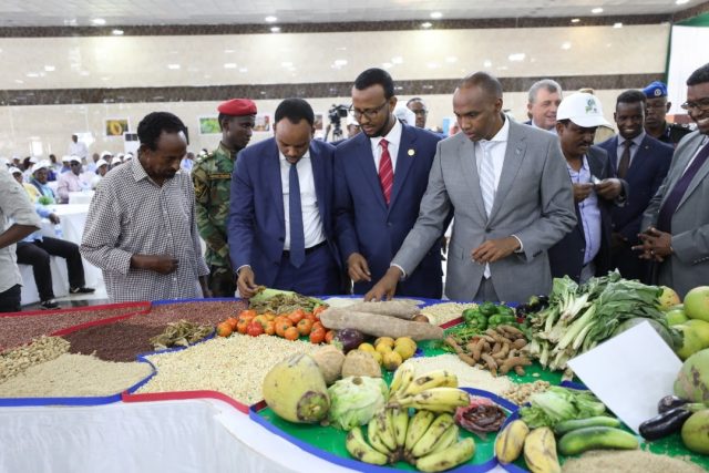 Ra’iisul Wasaare Khayre: Kobaca Dhaqaalaha Soomaaliya Waxa Uu Ku Xiranyahay Kordhinta Tacabka Iyo Wax Soo Saarka Beeraha