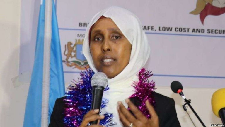 Wasiirka caafimaadka xukuumada Soomaaliya  oo  kulan la qaadatay jaaliyadda Soomaaliyeed ee gobolka Minnesota.