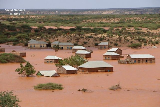 Maleeshiyada Alshabaab oo isaga cararay degmada Xaradheere