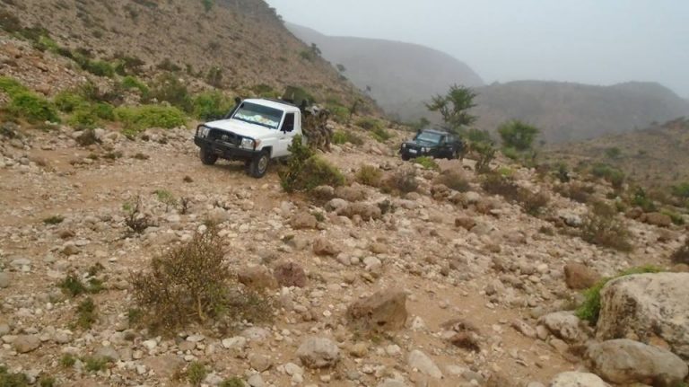 Ciidanka PSF ee Puntland oo Howlgal ka dhan ah Al-shabaab ka fuliyey Buuraha Cal Madow