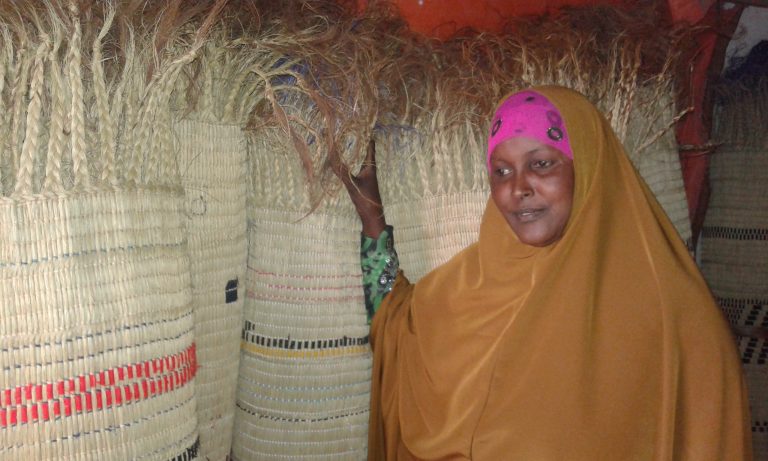 Dadka aqoonta uleeh sameeynta agabka hidaha iyo dhaqanka  soomaalida oo sii yaraanaya