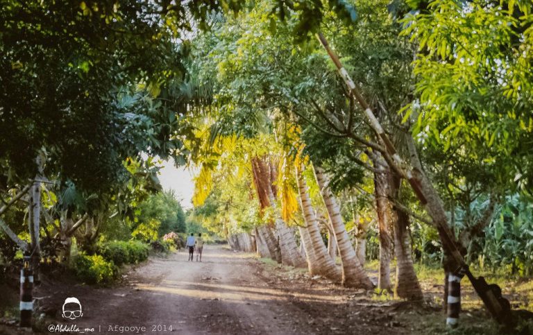 Sabiid,Janno adduun oo argagixisadu ba’sadeen
