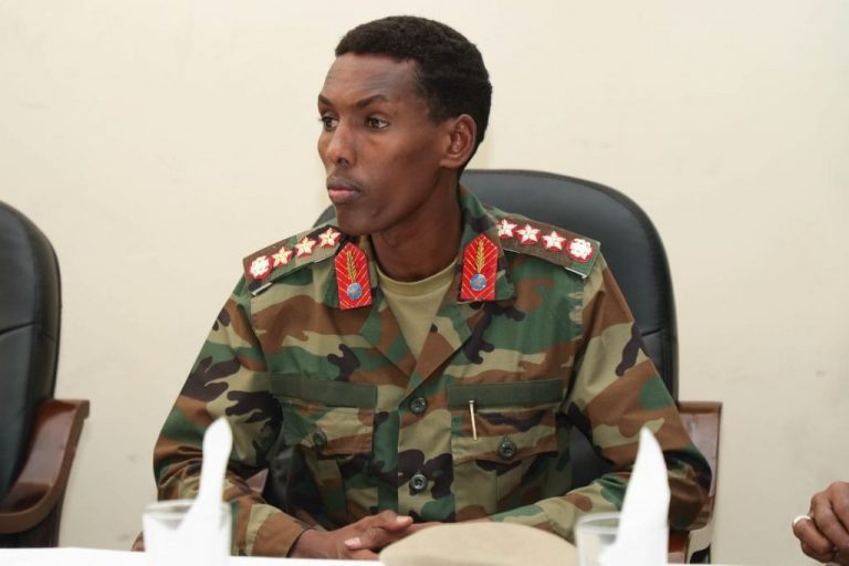 Ciidanka xoogga dalka oo ku dhawaad 20 argagixiso ku dilay howlgallo laga sameeyay Hiiraan iyo jubbada dhexe.