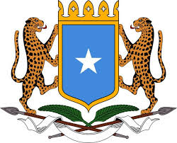 Dowladda Soomaaliya oo war ka soo saartay dhibaatada lagu hayo Soomaalida kunool K/Afrika