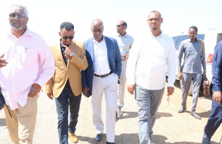 Wasiirka Arrimaha Gudaha DFS oo ku soo laabtay Muqdisho.