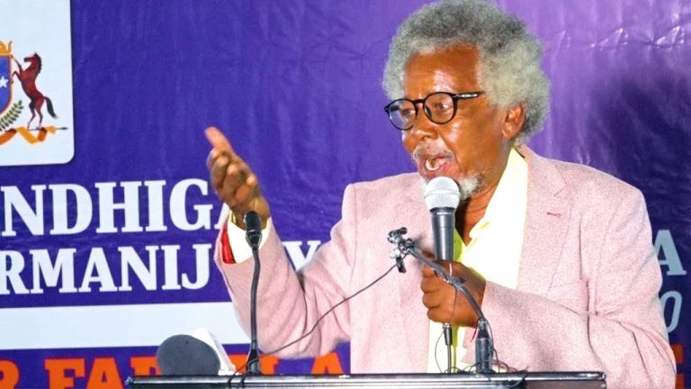 Wasiirka Warfaafinta oo xilka ka qaaday maareeyihii Tiyaatarka.
