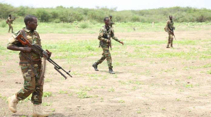 Qaar Kamid ah Nabad diidka Argagaxisada Al-shabaab Oo Lagu Dilay Kismaayo
