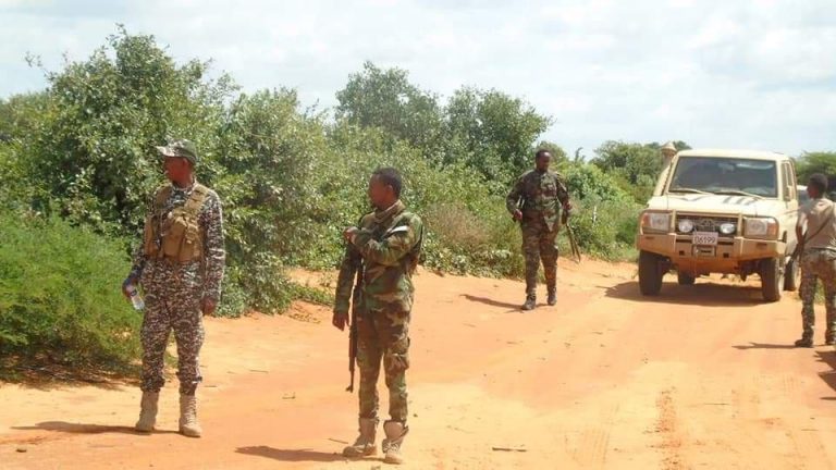 Ciidamada Kumandooska Soomaaliya Oo Alshabaab Kala Wareegay Degaano Ka Tirsan Jubada Hoose +Sawirro