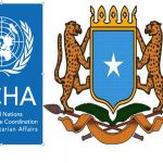 ocha-5