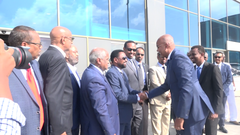 Wasiirka cusub ee arrimaha dibadda XFS oo lagu soo dhaweeyay magaalada Muqdisho+(SAWIRRO).
