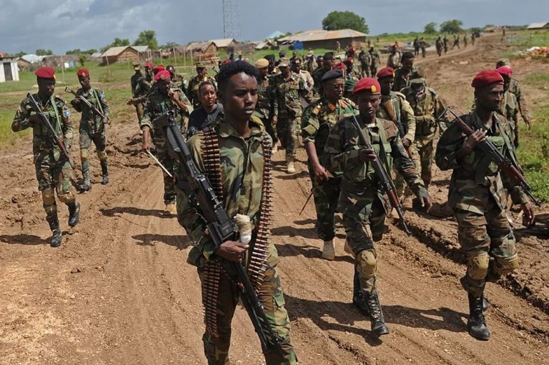 Horjooge iyo Toban Maleeshiyo oo la socotay oo ka wada tirsan kooxda Argagaxisada Alshabaab ayaa lagu dilay Gobolka Shabeellaha Hoose.