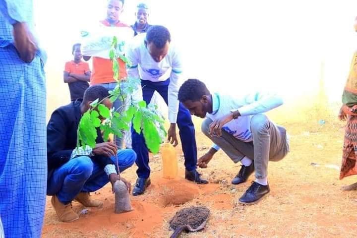 Dhallinyarada Gobolka Mudug oo dhireyn ka billaabay deegaanno ka tirsan Gobolka+(SAWIRRO).