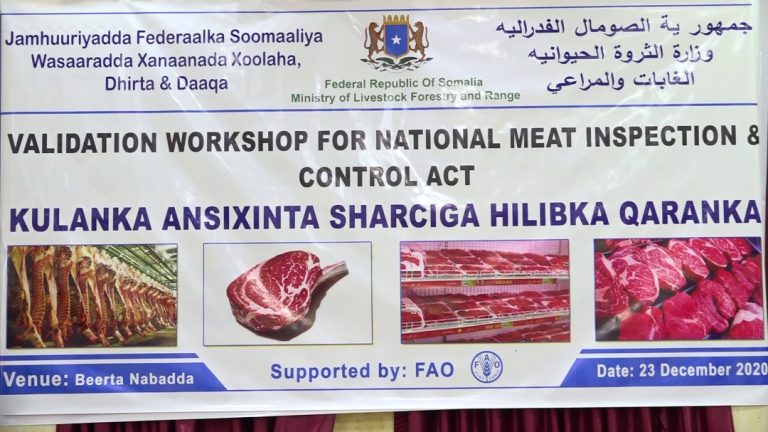 Wasiirka Xanaanada Xoolaha XFS oo furay kulan lagu ansixinayey sharciga Qaran ee baarista iyo ilaalinta Hilibka+(SAWIRRO).