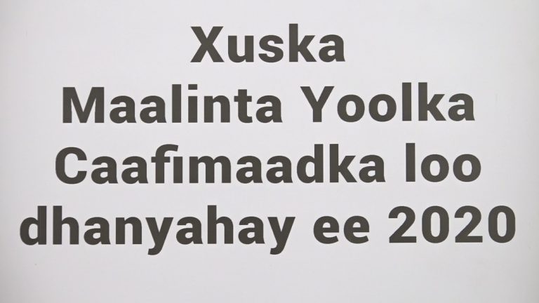 Xuska Maalinta Yoolka Caafimaadka loo dhanyahay oo lagu qabtay Muqdisho+(SAWIRRO)