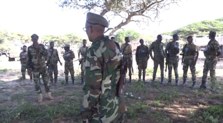 Ciidamada Xooga Dalka Soomaaliya oo Hawlgal lagu soo qab-qabtay Horjoogayaal iyo Maleeyshiyaad ka tiran Alshabaab ka fuliyay Gobolka Shabeelaha hoose+(SAWIRRO).
