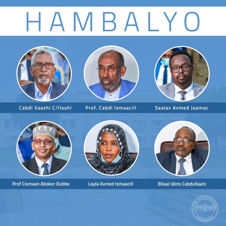 R/Wasaare Rooble oo u hambalyo u diray 6-da Senotar ee maanta loo doortay Afisyooni