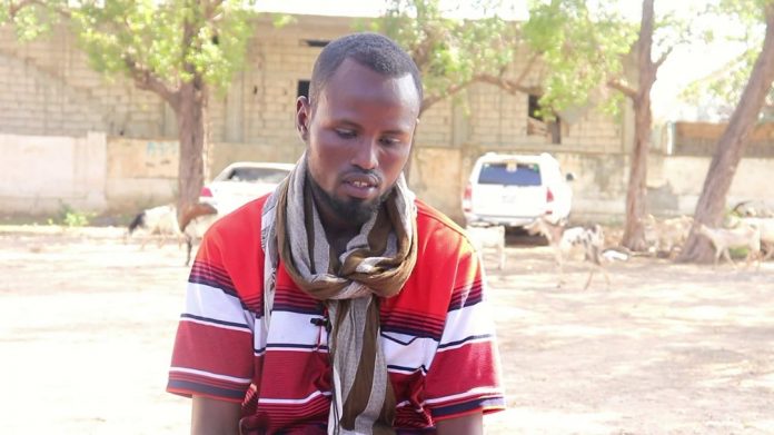 Horjooge katirsanaa kooxda Argagixisada Al-shabaab oo isku soo dhiibay laamaha Amniga Hirshabeelle “SAWIRRO”