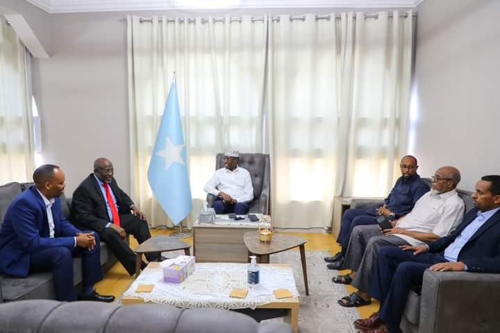 Guddoomiyaha Golaha Shacabka BJFS oo  maanta kulan la qaatay madaxweynihii hore ee dalka Shariif Sheekh Axmed .