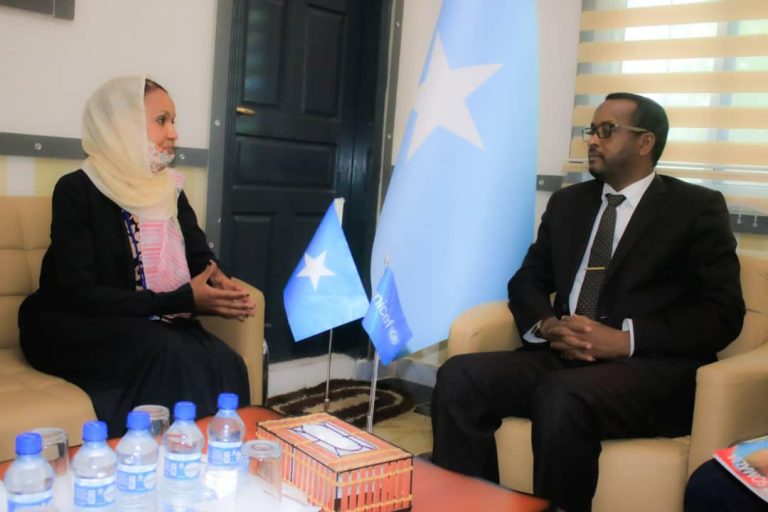 Siihayaha Wasiirka Arrimaha Dibadda oo waraaqaha aqoonsiga ka guddoomay Wakiilka cusub ee UNICEF ee Soomaaliya