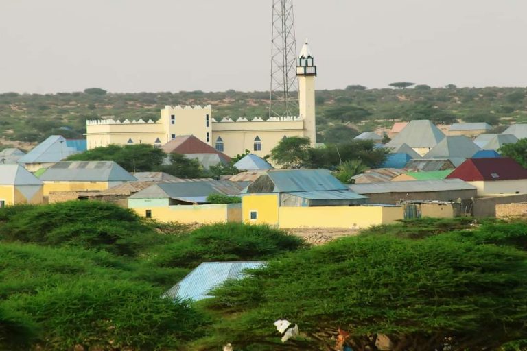 Madaxweynaha Qaranka Oo Boggaadiyay Guushii Shacabka Baxdo Ka Gaareen Argagixisadii Soo Weerartay.