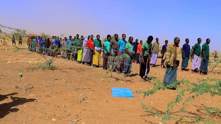 Ciidamada DDS oo sheegay in 800 oo katirsan Kooxda Al-shabaab ku dileen dagaalo ka dhacay Gobolka Afdheer