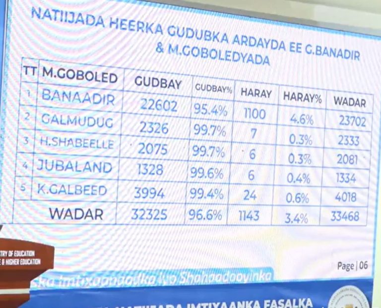 Wasaaradda waxbarashada Soomaaliya oo shaacisay natiijada imtixaanka shahaadiga ah ee fasalka 12aad ee  Dugsiga sare.