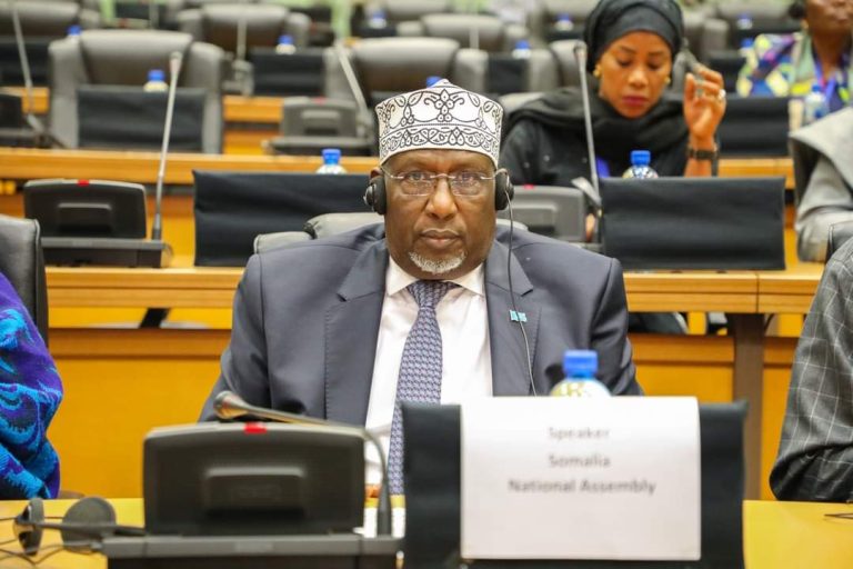 Gudoomiyaha Golaha Shacabka oo Hadal ka Jeediyay Baarlamaanka Africa.