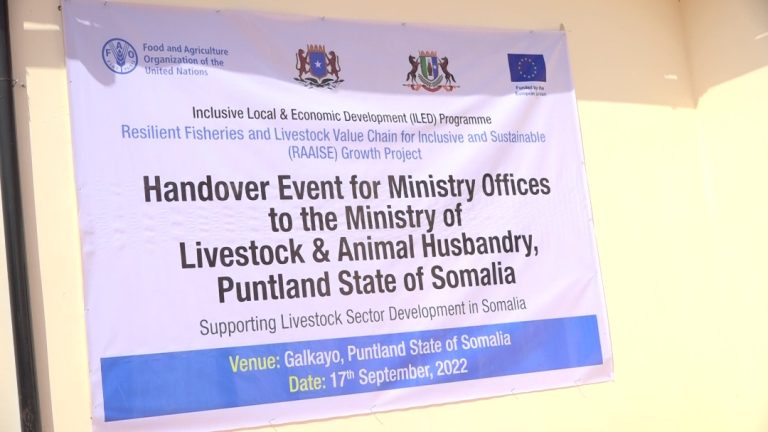 Wasaarada xanaanada xoolaha puntland ayaa lagu wareejiyay xarun cusub oo  ay Hay’adda FAO ka hirgalisay Galkacyo