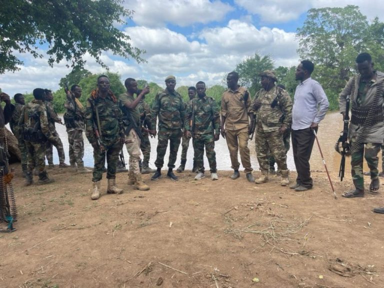 Hawlgallo guulaystay oo ay iska kaashadeen Sirdoonka Qaranka iyo saaxiibadooda caalmiga ah oo lagu laayay horjoogayaal iyo maleeshiyaad ka tirsan  Alshabaab