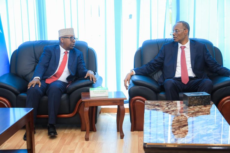 Wasiirka Arrimaha Gudaha oo Muqdisho Kusoo Dhoweeyey Madaxweynaha Koonfur Galbeed.