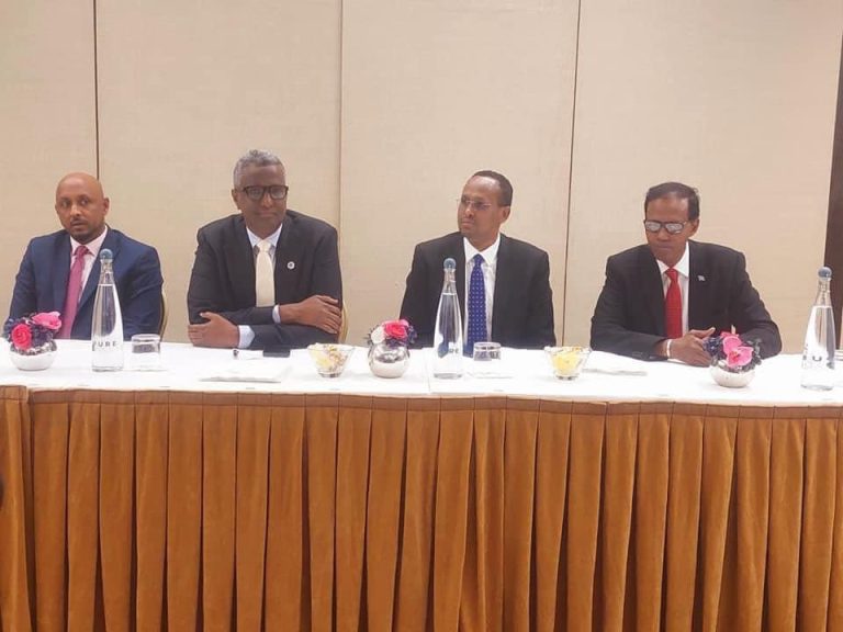 [DAAWO] Ergayga gaarka ah ee Madaxweynaha JFS u qaabilsan arrimaha Gurmadka Abaaraha oo kulan la qaatay jaaliyadda Soomaaliyeed ee ku nool UK