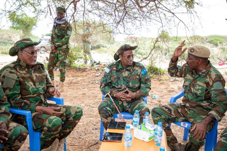 [Daawo]Madaxweynaha Hiirshabelle oo ka warbixiyey howlgalada ka socda Gobolka Shabeelada Dhexe