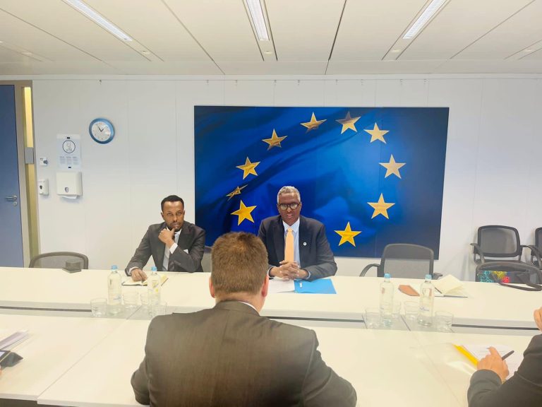 Ergeyga gaarka ah ee Madaxweynaha JFS u qaabilsan Gurmadka Abaaraha oo kulan la qaatay Komiishanka Midowga Yurub u qaabilsan gargaarka bani’aadannimada