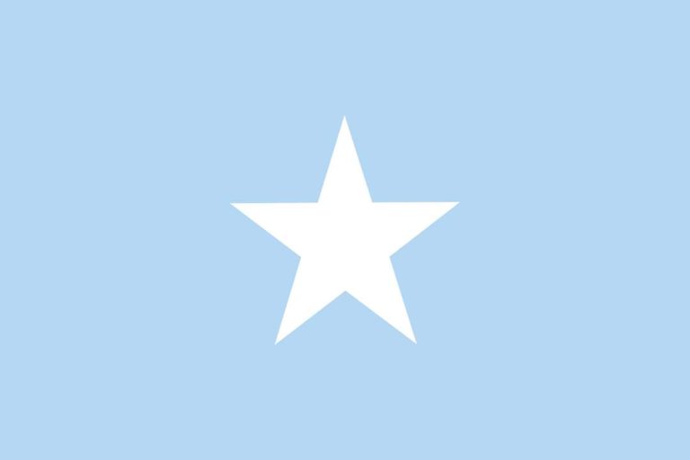 Madaxweynaha Qaranka Oo ka Hadlay Maalinka Calanka Soomaaliyeed.