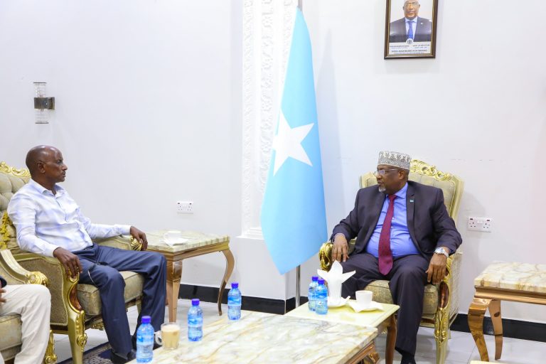 Ku-simaha madaxweynaha oo Gudoomiyaha Hiiraan kala hadlay dagaalka Al-Shabaab