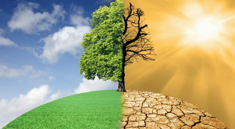 <strong>THE PROCESS OF REPORTING WEATHER FORECAST AND CLIMATE CHANGE THAT WAS TRAINED FOR ABOUT 30 JOURNALISTS FROM SOMALIA AND DJIBOUTI.</strong>