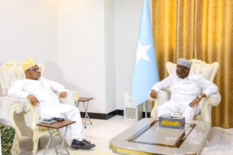 Guddoomiyaha Golaha shacabka oo la kulmay Wakiilka Midowga Afrika.