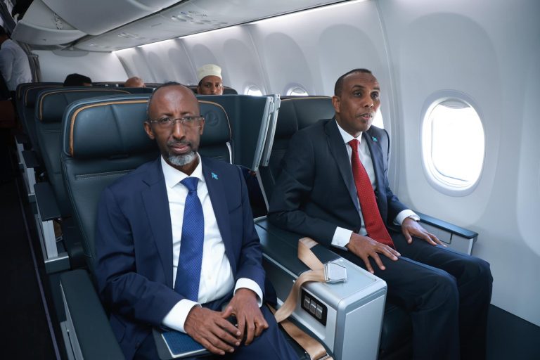 Ra’iisul Wasaare Hamza Abdi Barre iyo wafdi uu hoggaaminayay oo gaaray magaalada Qaahira ee caasimadda dalka Masar